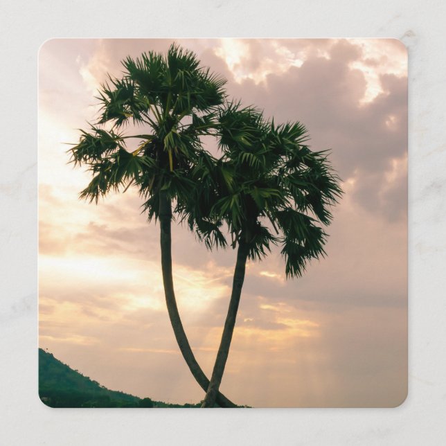 Tropisk paradise Beach Handflatan Destiny Destiny' (Framsida)