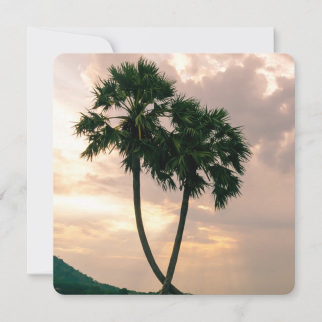 Tropisk paradise Beach Handflatan Destiny Destiny' (Framsida)