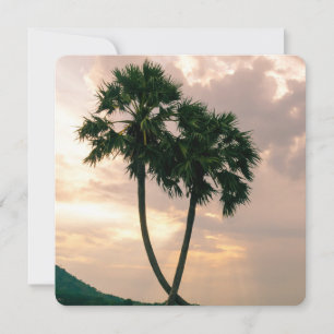 Tropisk paradise Beach Handflatan Destiny Destiny'