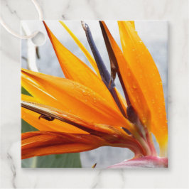 Tropisk Paradisfågel Blommig Bröllop Gåvor Etiketter