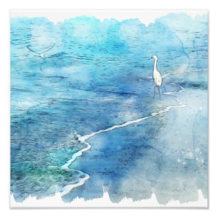 Tropisk persika i Teal Aqua Turcoise Blue med Wh Fototryck