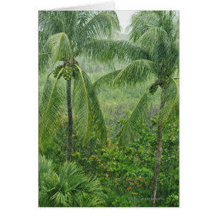 Tropisk rainforest hälsningskort