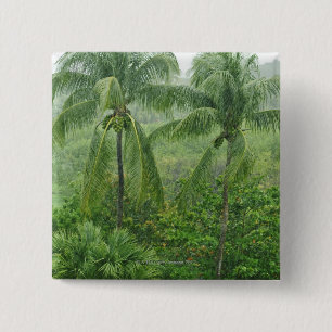 Tropisk rainforest knapp