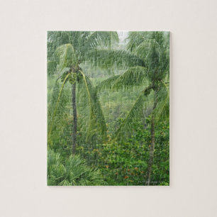 Tropisk rainforest pussel