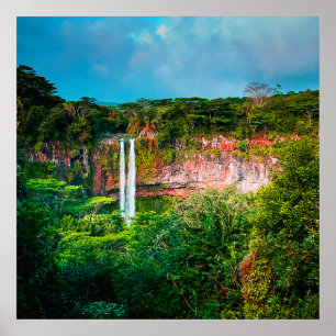 Tropisk Rainforestvattenfall Poster
