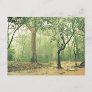 Tropisk regnskog Western Ghats Indien Vykort