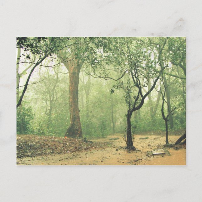 Tropisk regnskog Western Ghats Indien Vykort (Framsida)