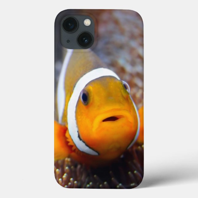 Tropisk revfisk - Clownfish (Baksida)