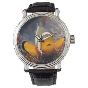 Tropisk revfisk - Clownfish Armbandsur