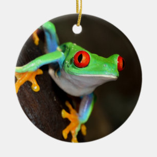 Tropisk röd ögagroda - Agalychnis Callidryas Julgransprydnad Keramik