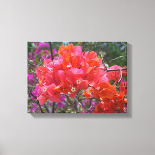 Tropisk Rosa Blommigten Bougainvillea Island Canvastryck
