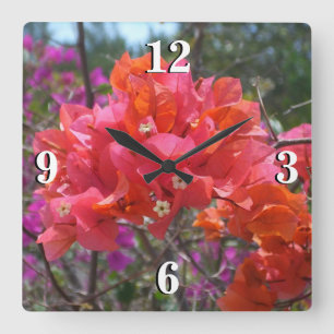 Tropisk Rosa Blommigten Bougainvillea Island Fyrkantig Klocka