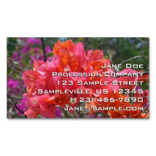 Tropisk Rosa Blommigten Bougainvillea Island Magnetiska Visitkort