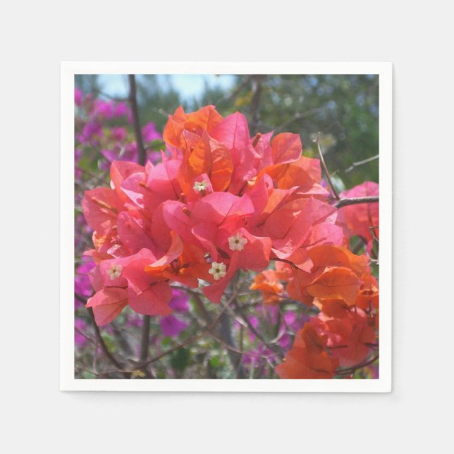 Tropisk Rosa Blommigten Bougainvillea Island Pappersservett (Framsidan)