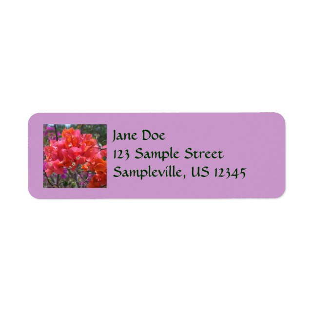 Tropisk Rosa Blommigten Bougainvillea Island Returadress Etikett (Framsidan)