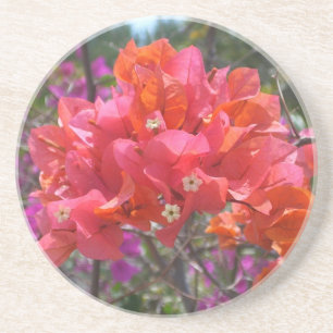 Tropisk Rosa Blommigten Bougainvillea Island Underlägg Sandsten