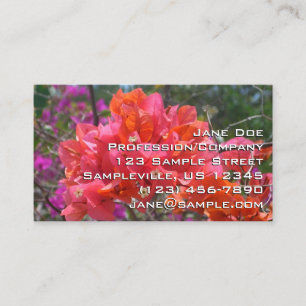Tropisk Rosa Blommigten Bougainvillea Island Visitkort