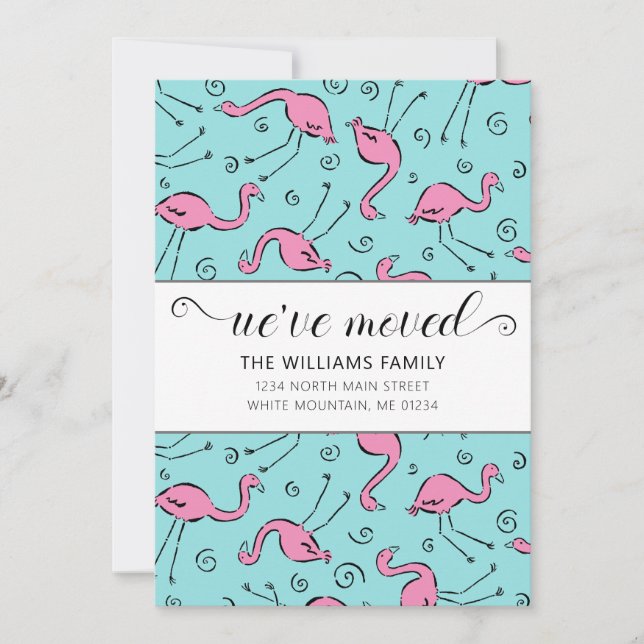 Tropisk Rosa Flamingo på Flytta i akvariet Meddelande (Framsida)