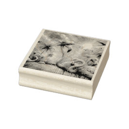 Tropisk Rosa Flamingos Handflatan Träd Sol Vatten  Stämpel