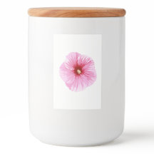 Tropisk rosa hibiscus-blomma.
