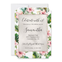 Tropisk Rosa Hibiscus Blommigt