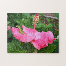 Tropisk Rosa Hibiscus Flower Anole Lizard Photo Pussel