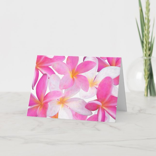 Tropisk Rosa Plumeria Flower Hawaii Blommigt Blank Kort (Framsida)