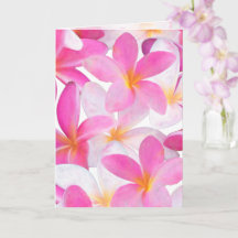 Tropisk Rosa Plumeria Flower Hawaii Blommigt