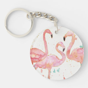 Tropisk sammankomst av Flamingos