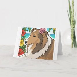 Tropisk sheltie kort