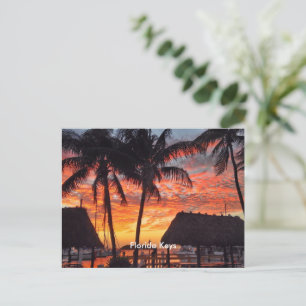 Tropisk solnedgång i Florida Keys Vykort