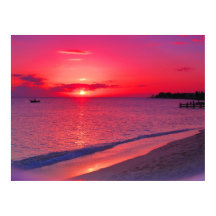 Tropisk solnedgång Strand Vägg Poster