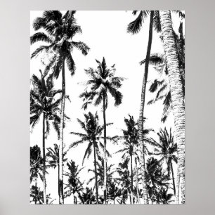 Tropisk sommar för svartvit palmträd poster