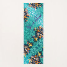 Tropisk sommarhavsskal Hälsa Ocean Vatten Blue