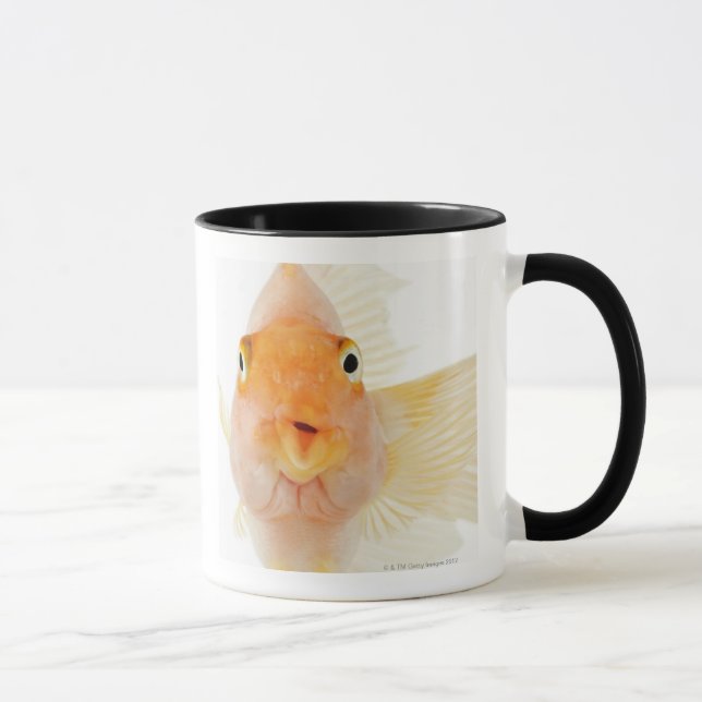 Tropisk sötvattensfisk mugg (Höger)