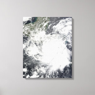 Tropisk storm Alma Canvastryck