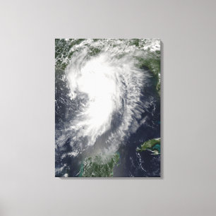 Tropisk storm Cindy Canvastryck