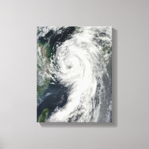 Tropisk storm Dianmu Canvastryck