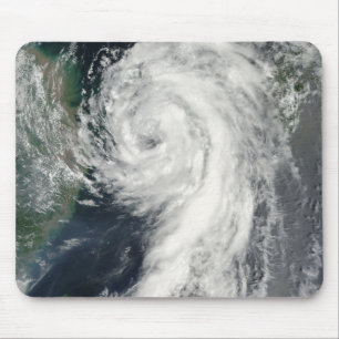 Tropisk storm Dianmu Musmatta