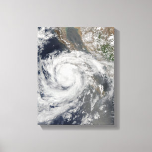 Tropisk storm Emilia Canvastryck