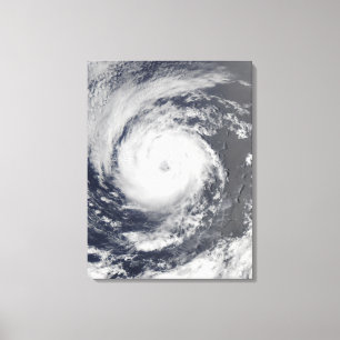 Tropisk storm Guillermo Canvastryck
