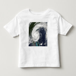 Tropisk storm Hanna över ostkusten Tee