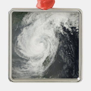 Tropisk storm Parm Julgransprydnad Metall
