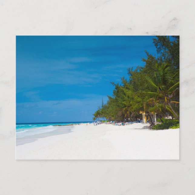 Tropisk strand i Barbados Vykort (Framsida)