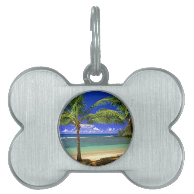 tropisk strand ID-bricka husdjur (Framsidan)