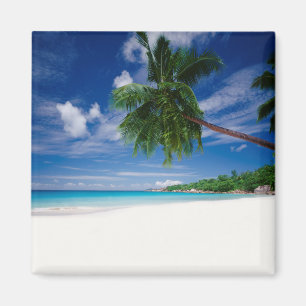 Tropisk strand Seychellerna Magnet