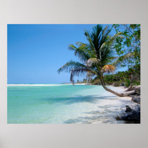 tropisk strandhimmelaffisch FRÅN 8,60 Poster