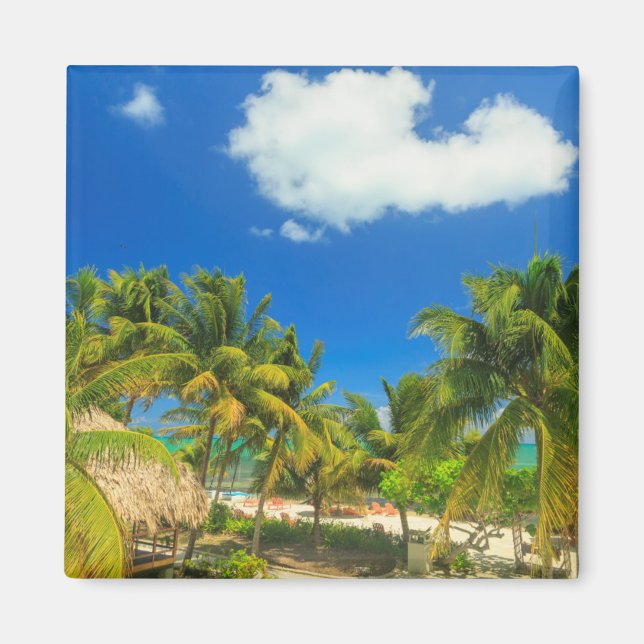 Tropisk strandort, Belize Magnet (Framsidan)