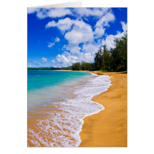 Tropisk strandparadis, Hawaii Hälsningskort