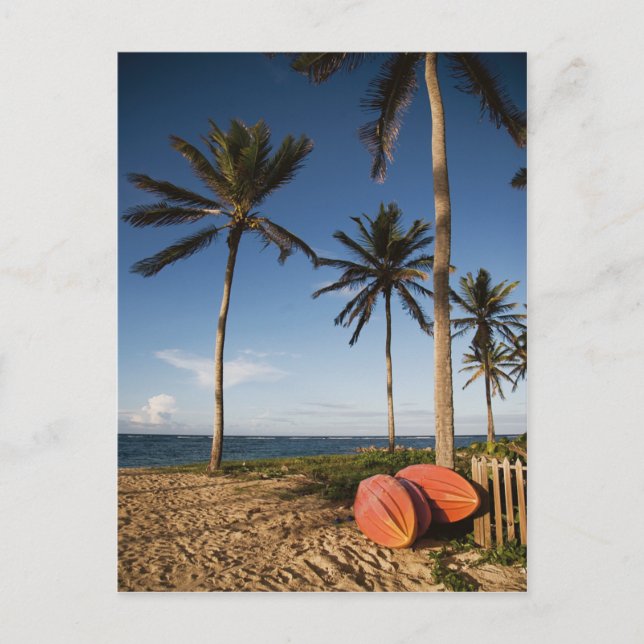 Tropisk strandscen vykort (Framsida)